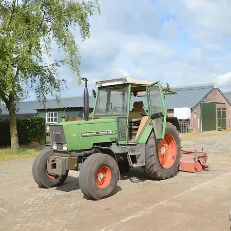 Decorative Holiday In On Alpaca Farm Vorstenbosch